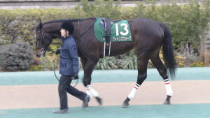 【桜花賞】8着クイーンズウォーク川田「これをいい経験にして、次に向かっていくための準備ですね」