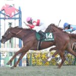 皐月賞競走除外のダノンデサイル横山典弘で日本ダービー