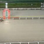 【競馬】羽田盃は川田騎乗のアマンテビアンコがV