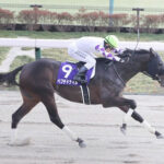 【競馬予想】第36回 かしわ記念(Jpn1) / 2024