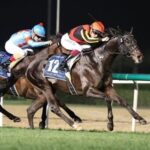 ドバイシーマ2着シャフリヤールが日本調教馬トップタイのレーティング120ポンドで5位