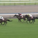 【マイラーズカップ2024】結果・動画/ソウルラッシュが人気に応え快勝