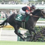 ゴンバデカーブース喉の手術無事終了、次走プリンシパルSかNHKマイルC
