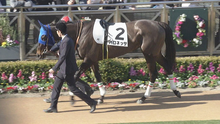 1番人気すっ飛ばしバロネッサ津村「1枠でどんどん前に入られてしまい動けなかった」