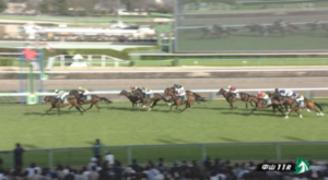 パラレルヴィジョン強すぎて逆に笑えんwww