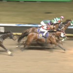 【川崎記念】次の中央G1やる週まで競馬辞める😡 他