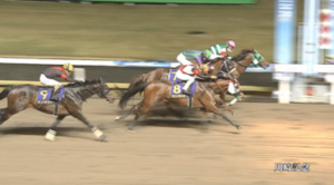 【川崎記念】次の中央G1やる週まで競馬辞める😡　他