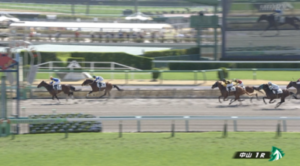 【日曜中山1R】石神深道騎手の初勝利キタ━━━━(゚∀゚)━━━━!!