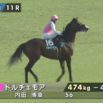 ドルチェモアさん