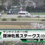 【阪神牝馬S】マスクトディーヴァ&モレイラ騎手がキタ━━━━(゚∀゚)━━━━!!