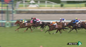 【NZT】エコロブルーム強すぎワロタwww