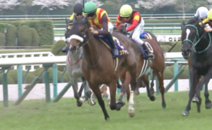 ステレンボッシュ、約束された名馬な件