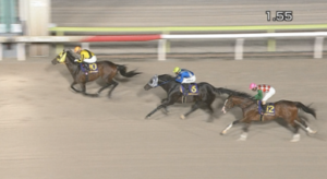 【ブリリアントC】サヨノネイチヤ＆西啓太騎手騎手がｷﾀ━━━━(ﾟ∀ﾟ)━━━━!!