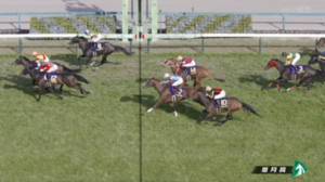 シンエンペラー坂井騎手「現状の力は出し切れた。次に向けてもう1段ギアを上げられるように仕上げる」