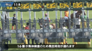 ダノンザテイル馬体検査