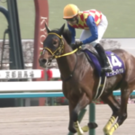 テーオーロイヤル、菱田騎手のジョッキーカメラ映像