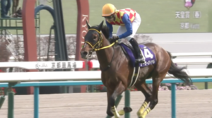 テーオーロイヤル、菱田騎手のジョッキーカメラ映像