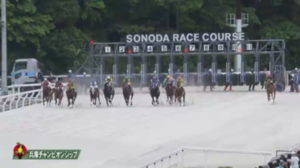 【兵庫チャンピオンシップ 】エートラックス＆モレイラ騎手がｷﾀ━━━━(ﾟ∀ﾟ)━━━━!!