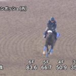 【オークス2024】追い切り/抜群の動きを見せたのは
