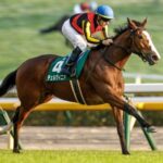 【競馬予想】[4]第85回オークス(GⅠ) /2024