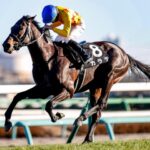 重賞3勝馬カラテ、辻野厩舎から音無厩舎に転厩
