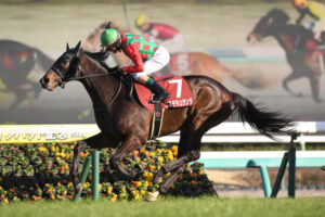 3歳馬コスモキュランダに宝塚記念参戦プラン