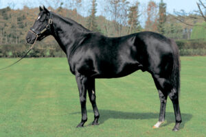 マルゼンスキー、フジキセキ、アグネスタキオン、この中で一番強いと思うのはどれ？