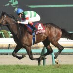 ルメール、ダービーはシックスペンス騎乗
