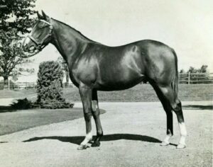 そろそろノーザン系種牡馬に期待するのやめないか?