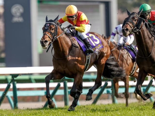 おまえらの現時点でのダービー本命馬