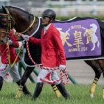年度代表馬争いが混沌としてきた件