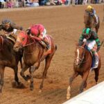 今ほど日本の競馬が楽しい時代はないよな