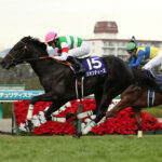 朝日杯FSと阪神JFってなんで同じコース形態なんや?