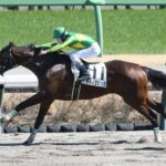 サトノエピックは東京ダービーへ 除外なら日本ダービー出走に切り替え