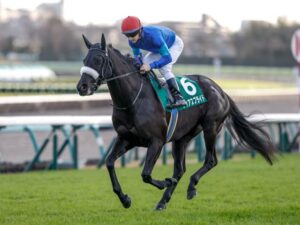 ヴィクトリアM2着のフィアスプライド、坂井瑠星に乗り替わり安田記念へ　ルメールはパラレルヴィジョン