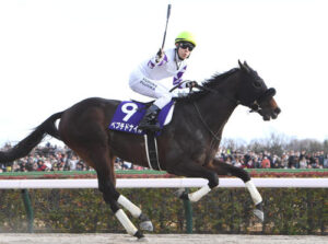 なっ？もう今年のフェブラリーS勝ち馬忘れたろ？
