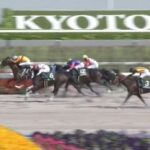 【競馬】平安Sは松山騎乗のミトノオーが逃げ切りV