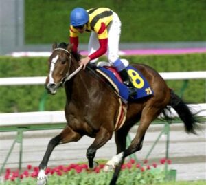 2字馬名3大名馬と言えば?ベガ、レダ、
