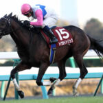 芝6400mなら歴代最強馬はなに?