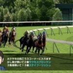 Switchのダビスタって面白いか?