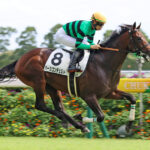4歳馬ダービー3着ハーツコンチェルトさん、3勝クラスでもあっさり負ける