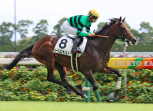 4歳馬ダービー3着ハーツコンチェルトさん、3勝クラスでもあっさり負ける