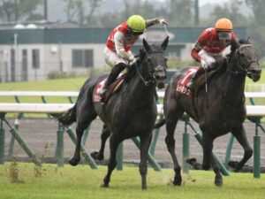〇〇新聞杯の序列