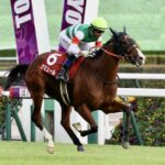 ナミュール、武豊で安田記念へ!