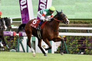 ナミュール、武豊で安田記念へ!