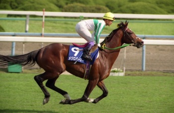 競馬で懐かしい気分にさせてくれないか