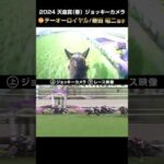 【ジョッキーカメラ×レース映像】2024年天皇賞(春)テーオーロイヤル 菱田裕二騎手 #shorts |JRA公式