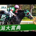 2019年 新潟大賞典(GⅢ) | メールドグラース | JRA公式