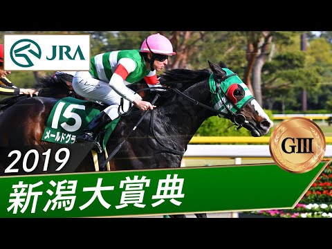 2019年 新潟大賞典（GⅢ） | メールドグラース | JRA公式