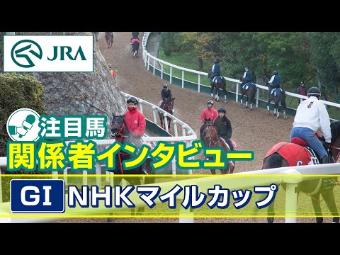 【注目馬 関係者インタビュー】2024年 NHKマイルカップ｜JRA公式